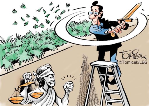 Wuchernde Pflanzen kappen