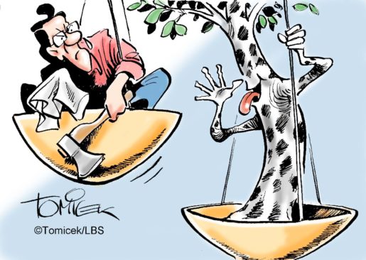 Allergiekrankes Ehepaar hatte das Fällen der Bäume beantragt