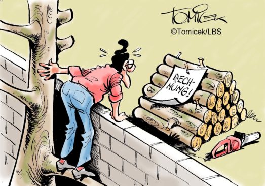 Rechnug für den Rückschnitt der grenzübergreifenden Bäume