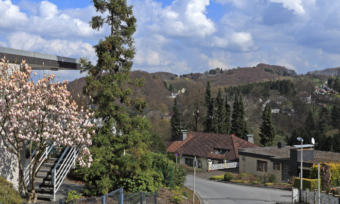 Buchholz - Blick ins Hammertal