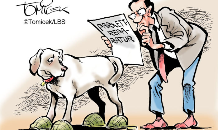 Hundekratzer im Parkett: Das kann zum vertragsgemäßen Gebrauch einer Wohnung gehören